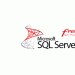 ms_sql_server_freetechtrainer.com